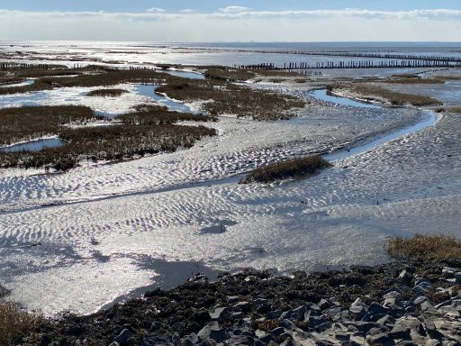 Wattenmeer von Friedrichskoog-Spitze in der Mittagssonne