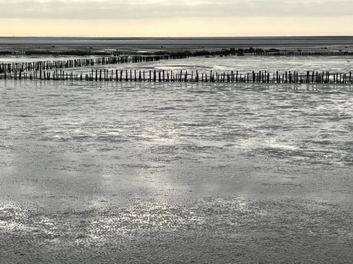 Friedrichskoog-Spitze Wattenmeer