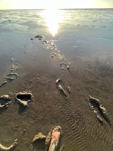 Friedrichskoog-Spitze Wattenmeer